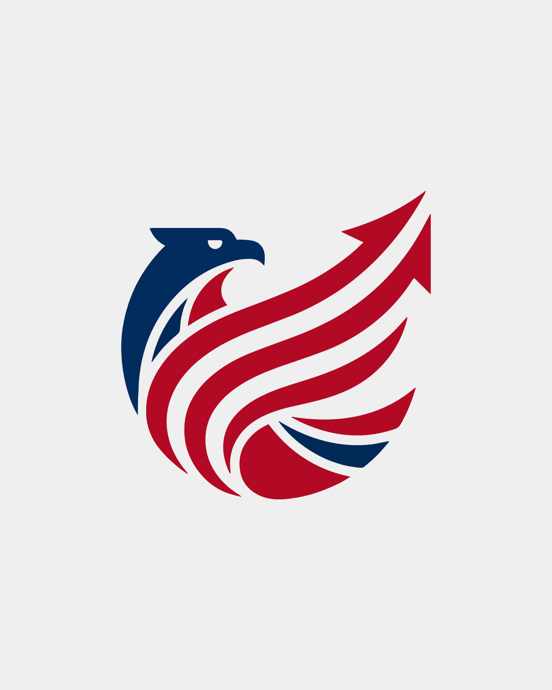 Logo 5